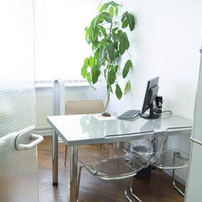 Modernes, helles Büro mit Schreibtisch, Computer, Stühlen und großer Zimmerpflanze.