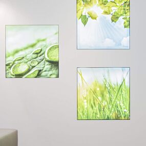 Drei Wandbilder mit Naturmotiven wie Blätter, Gräser und Tau im modernen Wohnzimmer.